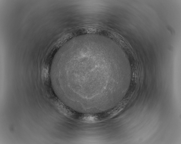 X0000111170610200907221029