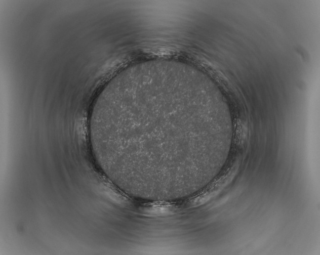 X0000111170612200907221029