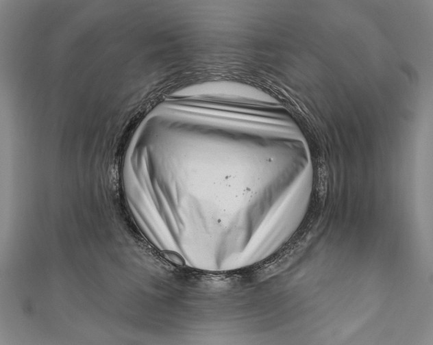 X0000111170613200907221029