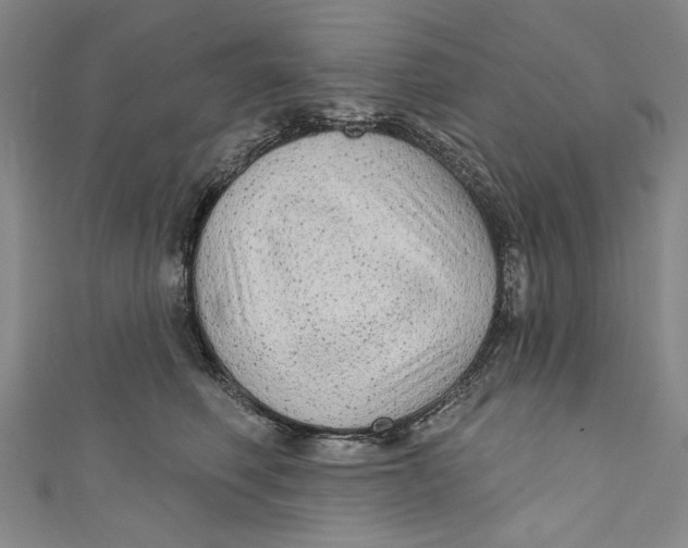 X0000111170614200907221029