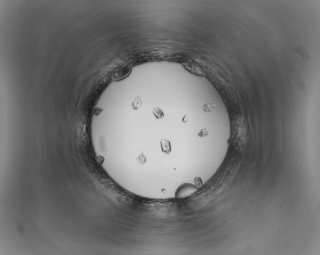 X0000111170615200907221029