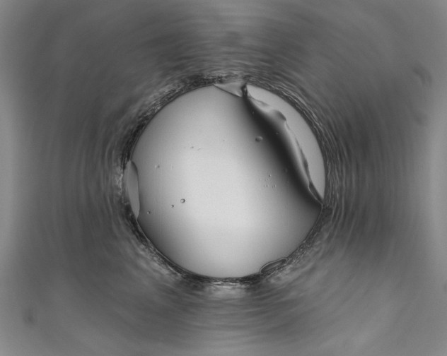 X0000111170617200907221029