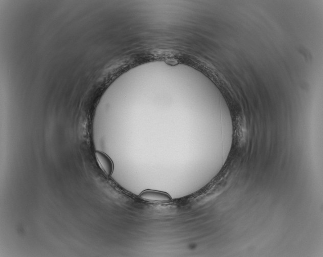 X0000111170619200907221029