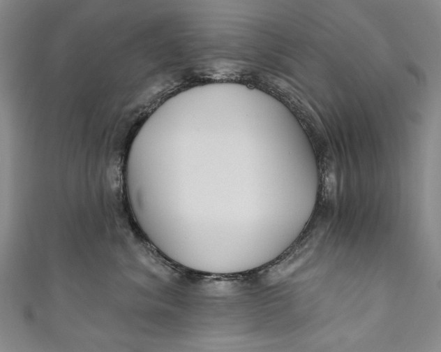 X0000111170620200907221029