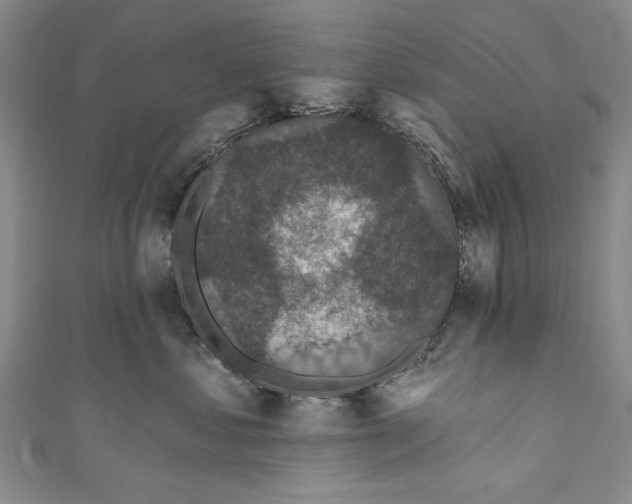 X0000111170621200907221029