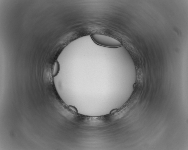 X0000111170622200907221029