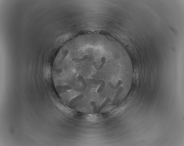 X0000111170623200907221029