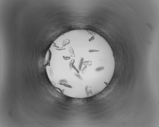 X0000111170624200907221029