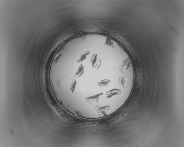 X0000111170626200907221029