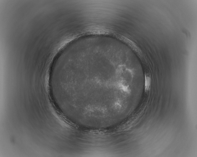 X0000111170627200907221029