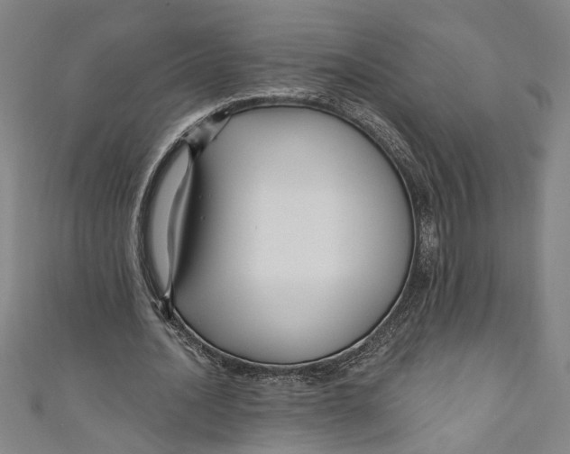 X0000111170628200907221029