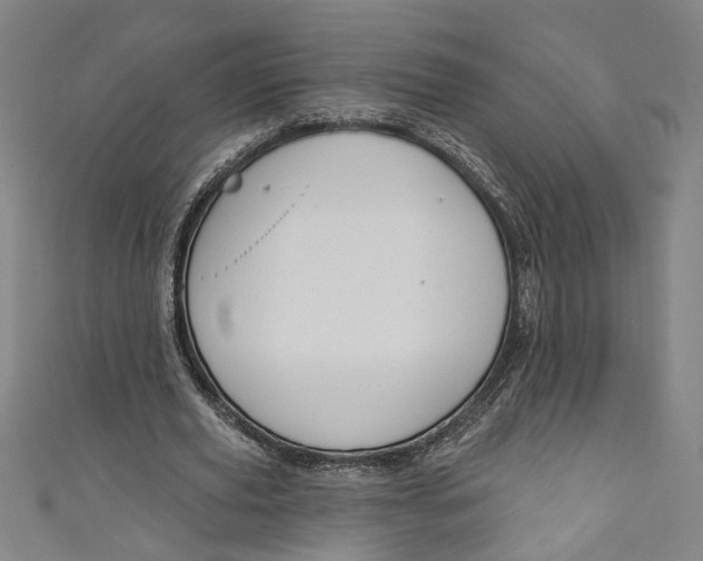 X0000111170629200907221029