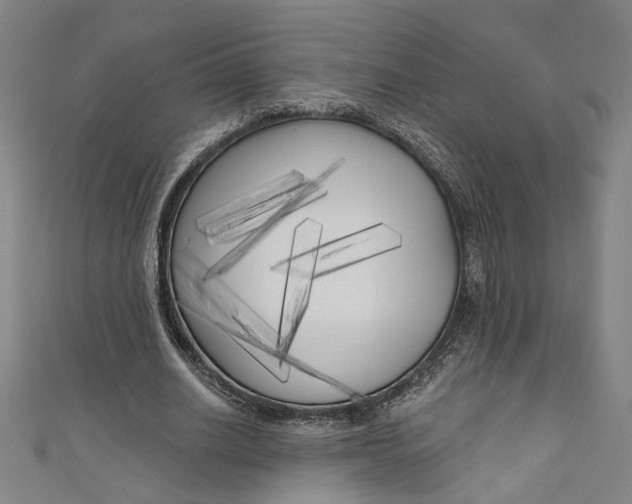 X0000111170630200907221029