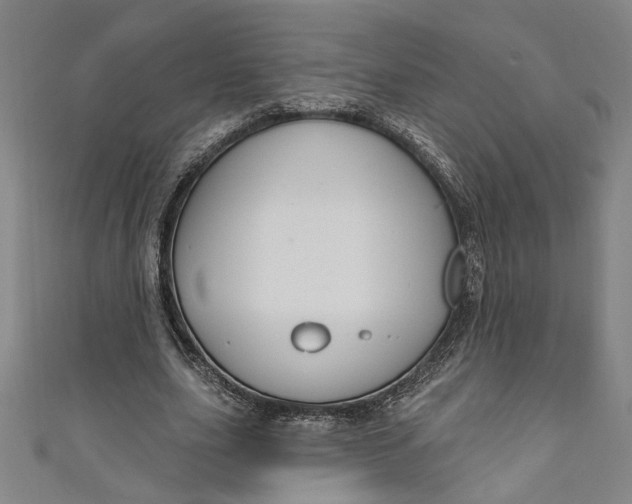 X0000111170631200907221029