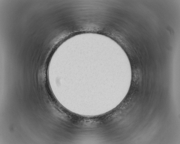 X0000111170632200907221029