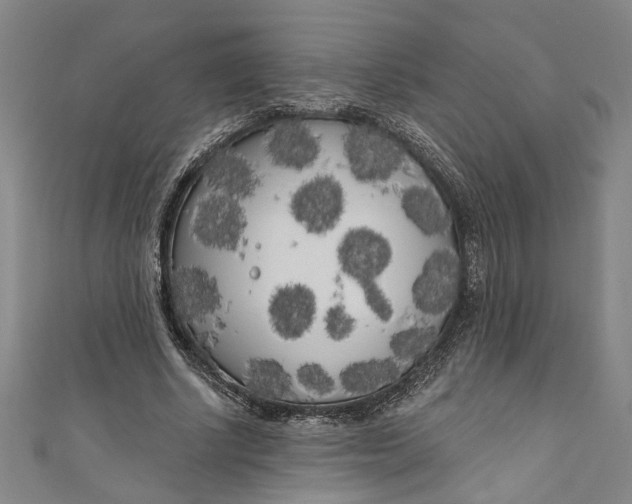 X0000111170634200907221029