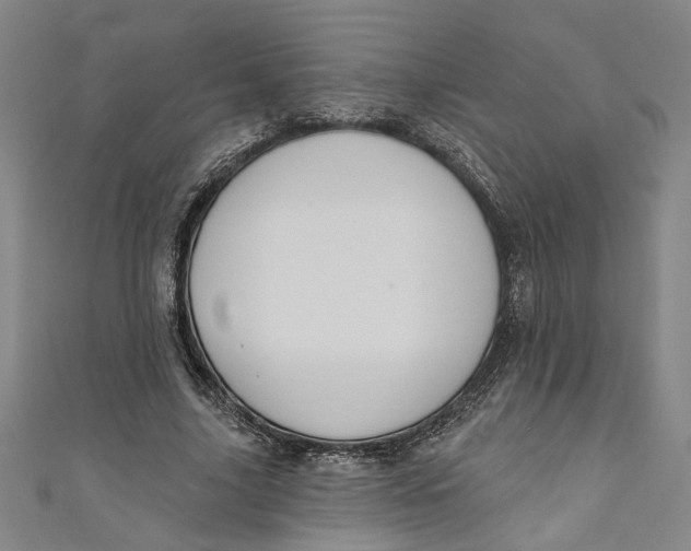 X0000111170635200907221029