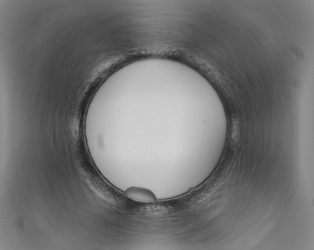 X0000111170636200907221029