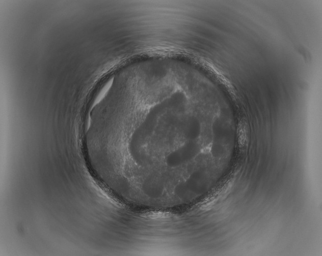 X0000111170637200907221029