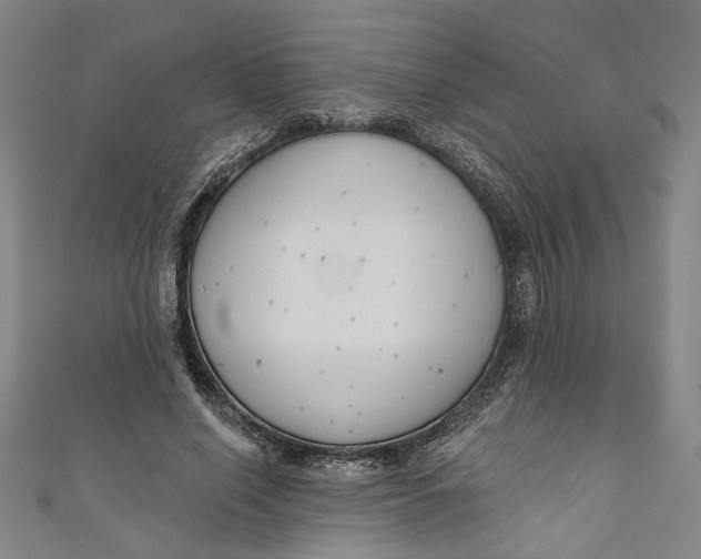 X0000111170638200907221029