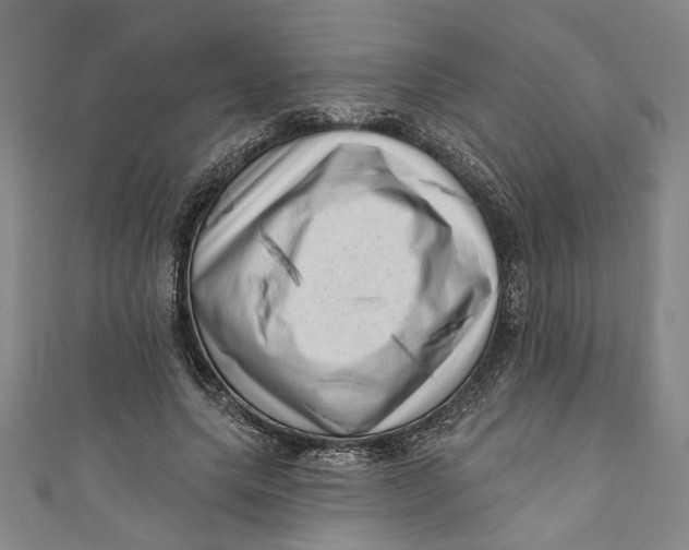 X0000111170639200907221029