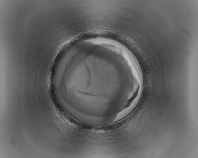 X0000111170640200907221029