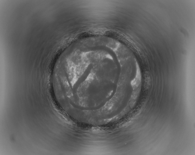 X0000111170641200907221029