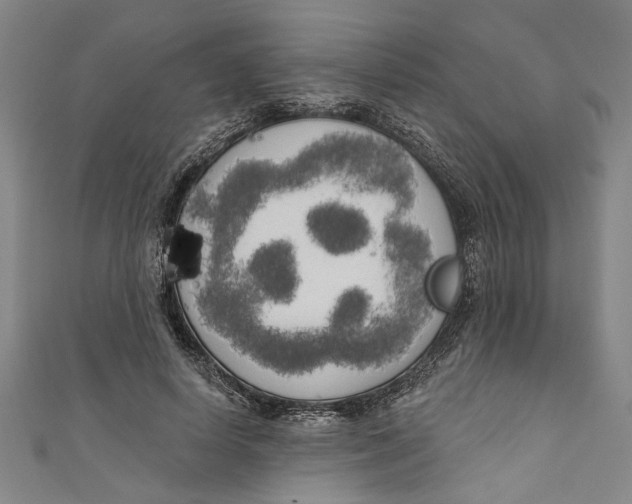 X0000111170642200907221029