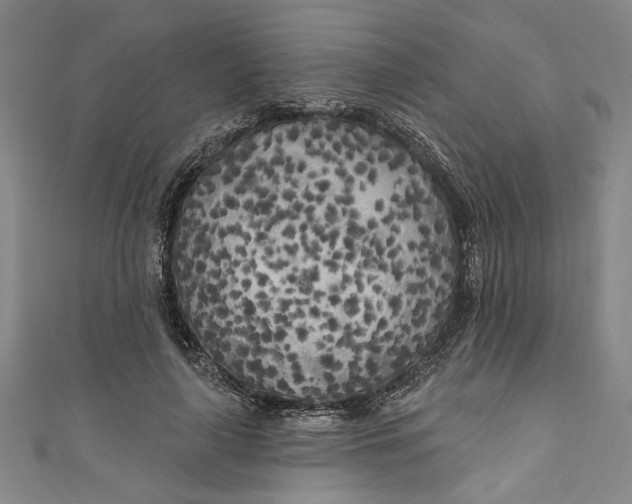 X0000111170643200907221029