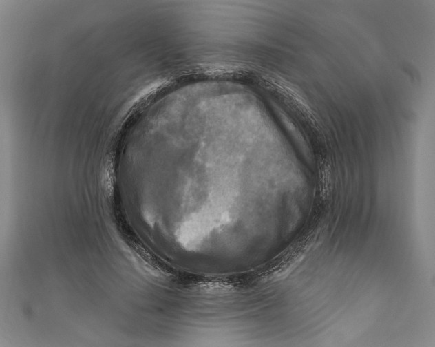 X0000111170644200907221029