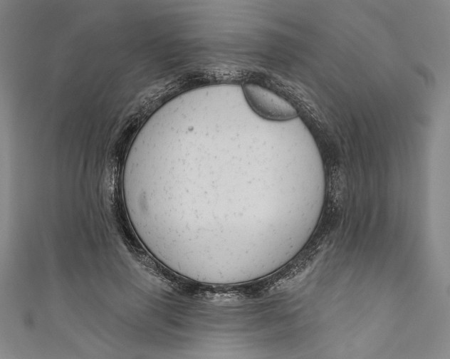 X0000111170645200907221029