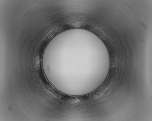 X0000111170646200907221029