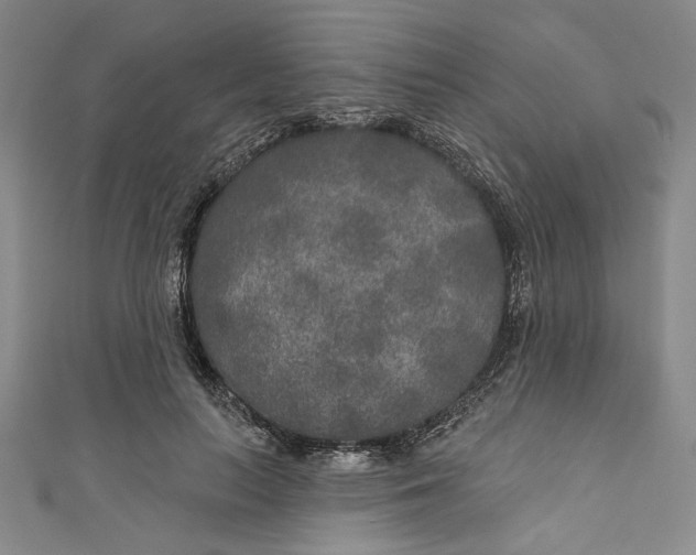 X0000111170647200907221029