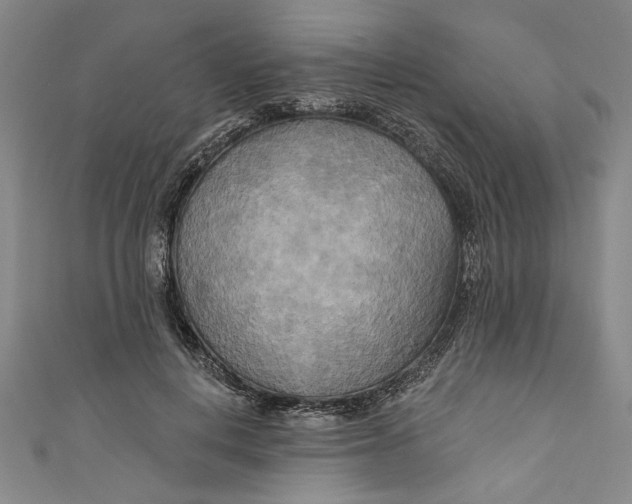 X0000111170648200907221029