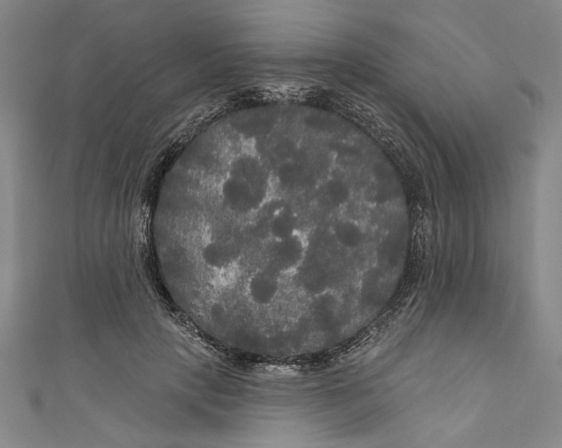 X0000111170649200907221029