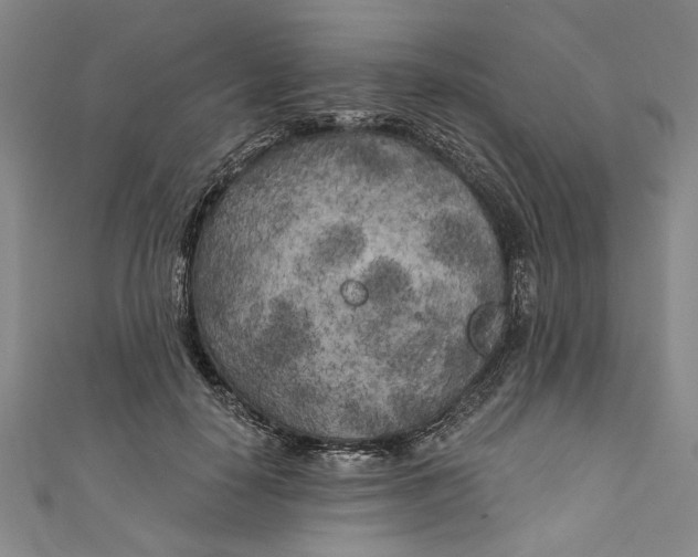 X0000111170650200907221029