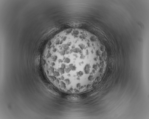 X0000111170652200907221029