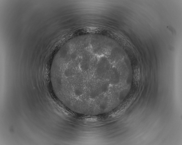 X0000111170653200907221029