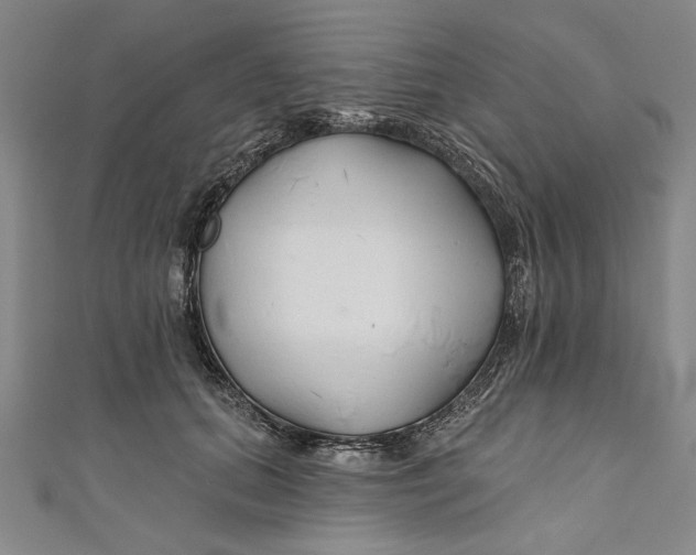 X0000111170655200907221029