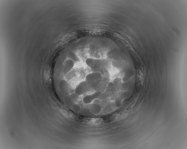 X0000111170663200907221029