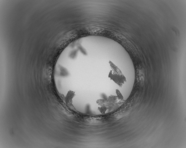 X0000111170664200907221029