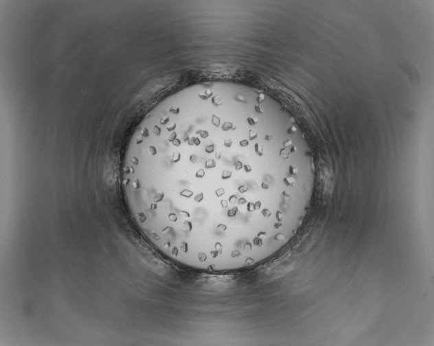 X0000111170665200907221029