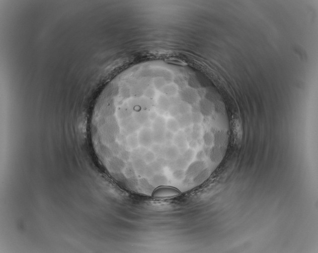 X0000111170668200907221029