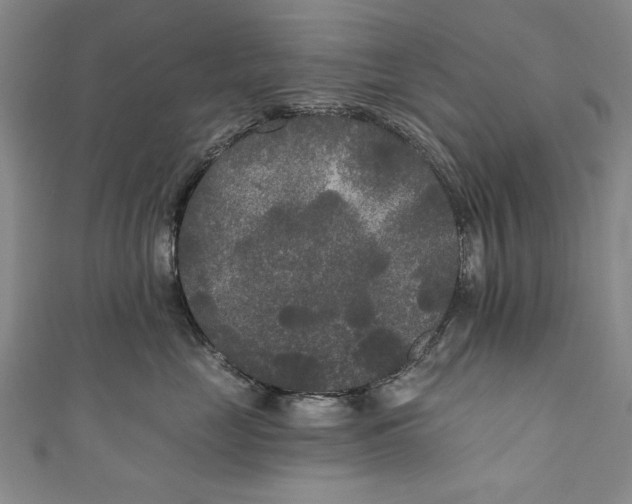 X0000111170669200907221029