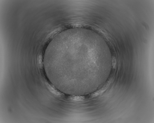 X0000111170670200907221029