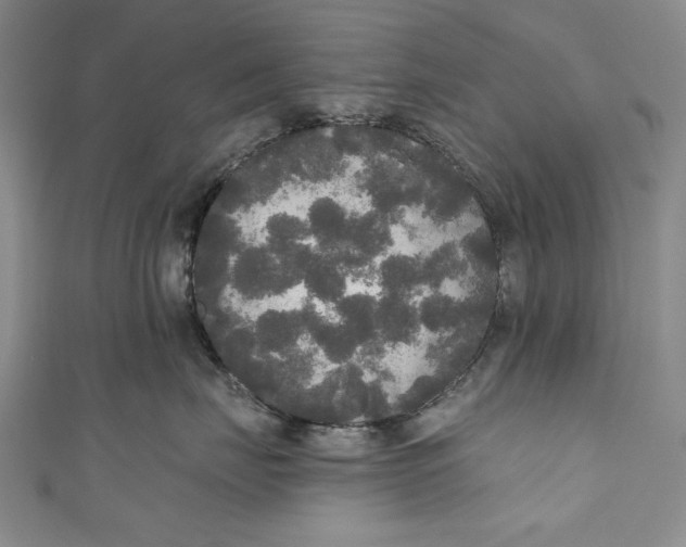 X0000111170671200907221029