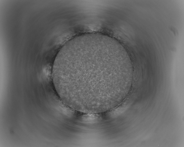 X0000111170672200907221029