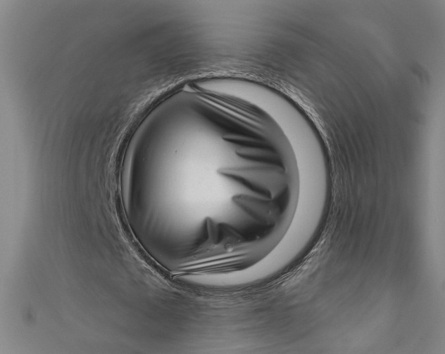 X0000111170673200907221028