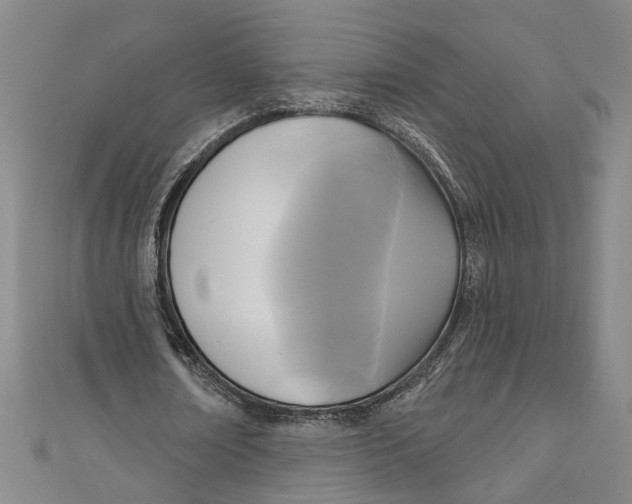 X0000111170674200907221028