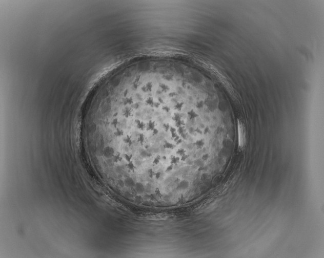 X0000111170675200907221028